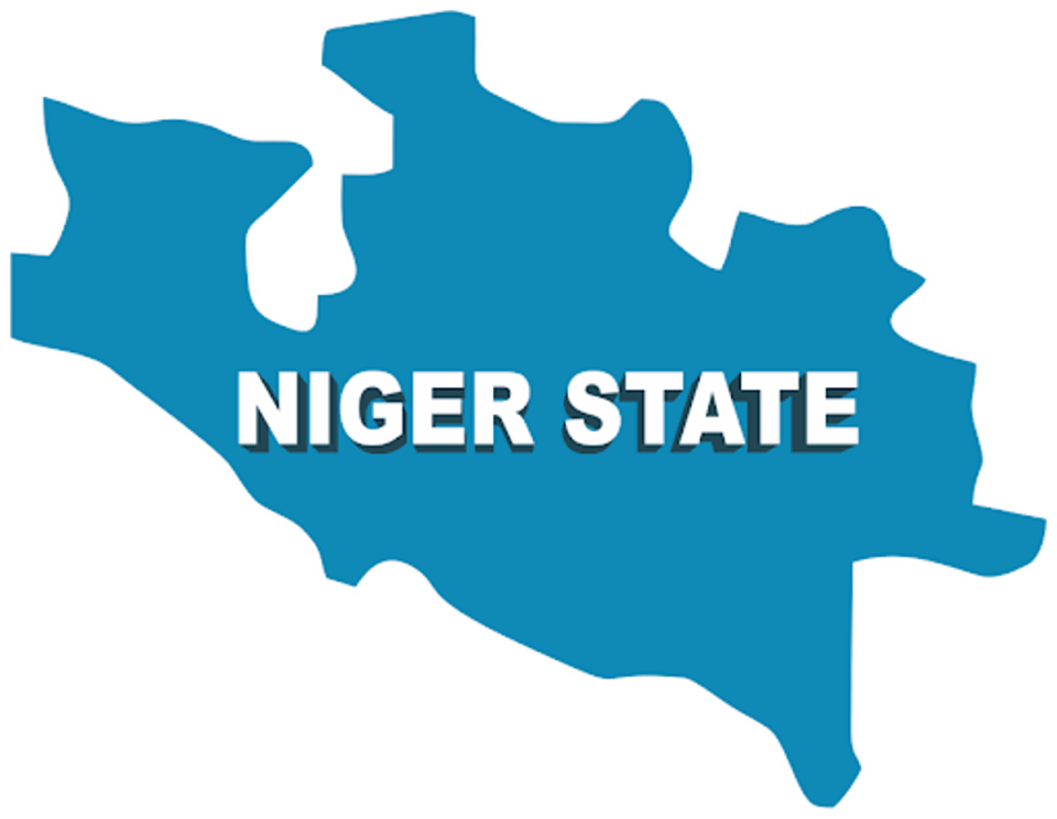 Niger Gov offers doctors corps members, others automatic employment – Daily Trust